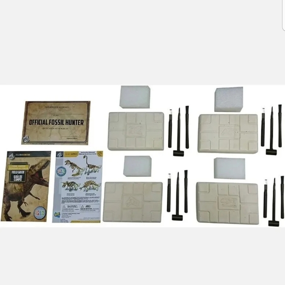 Fossil kit - Picture 3 of 3